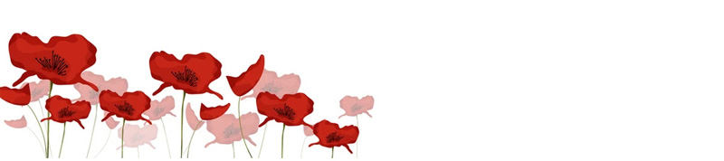 Anzac Day poppies