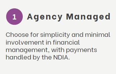 NDIS Plan: Agency Managed