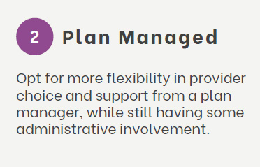 NDIS Plan: Plan Managed