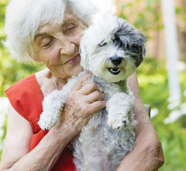 Retiree holding her dog. Wesley Mission Queensland Home Care can help you with pets