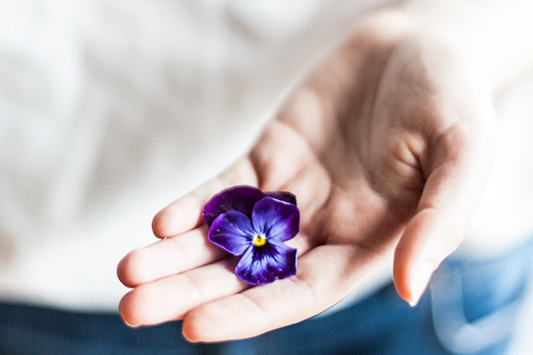 Photo by Alex Lvrs - Hand gently holding a violet flower