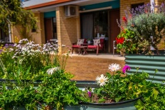 Raised garden beds at Cooper House