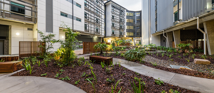 Pathways around Dovetree