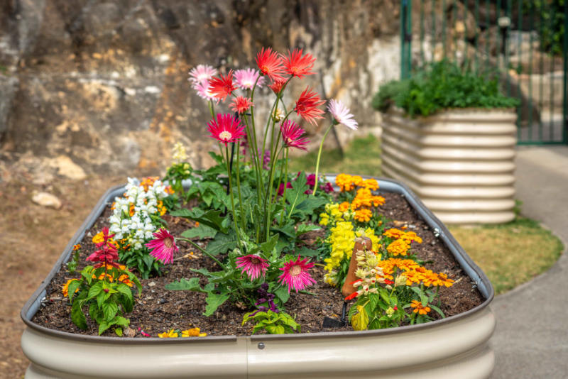Gardening at Knowles Court