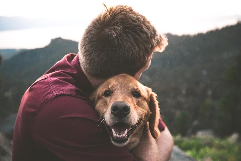 man hugging a dog